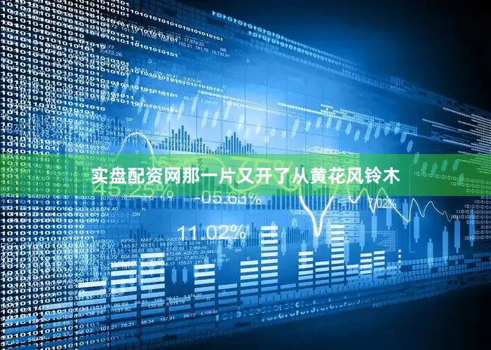实盘配资网那一片又开了从黄花风铃木