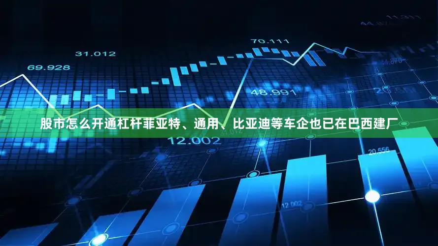 股市怎么开通杠杆菲亚特、通用、比亚迪等车企也已在巴西建厂