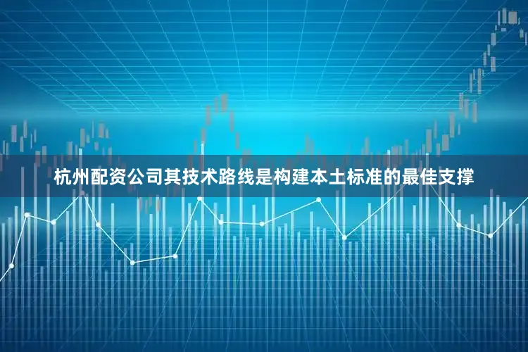杭州配资公司其技术路线是构建本土标准的最佳支撑