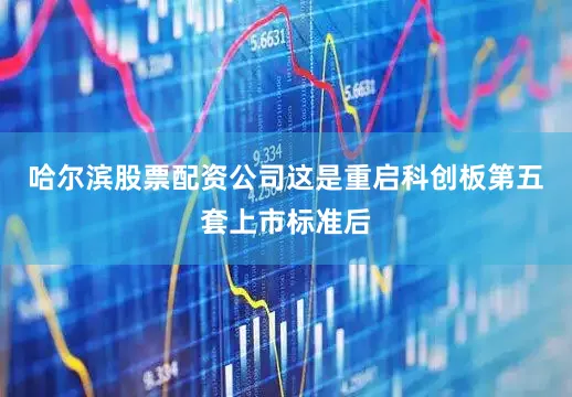 哈尔滨股票配资公司这是重启科创板第五套上市标准后