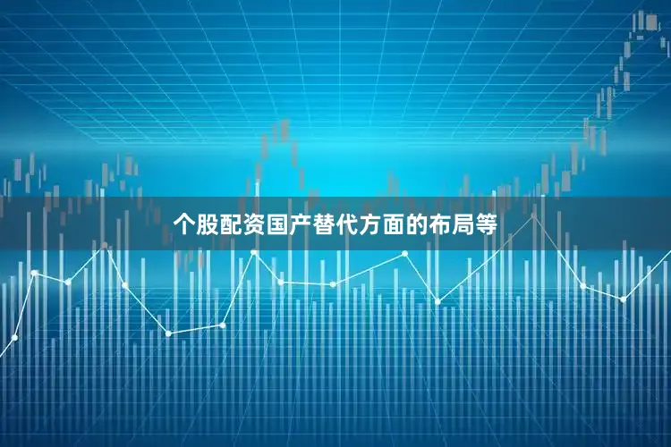 个股配资国产替代方面的布局等